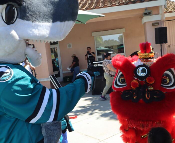 Open House - LionSharkie